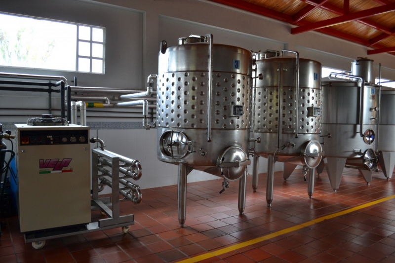 cave-BONSON-min_wine_production_cantine_winery_drink_alcohol_vine_beverage-902036